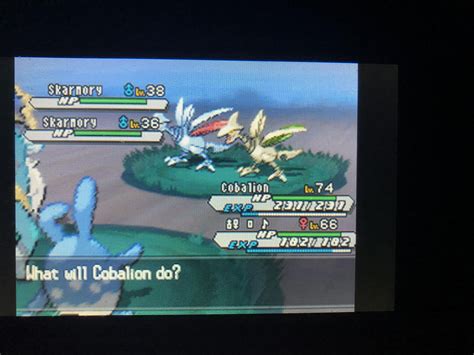 best nature for skarmory.